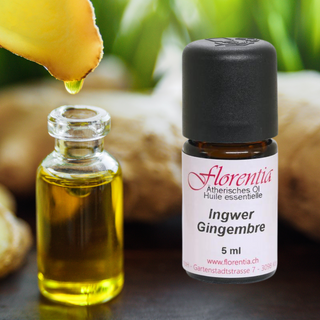 Ingwer Bio 5 ml - Wohlfühlprodukte