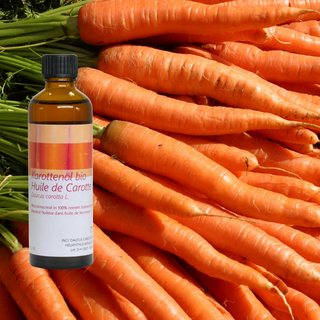 Karottenöl Bio 75 ml - Wohlfühlprodukte