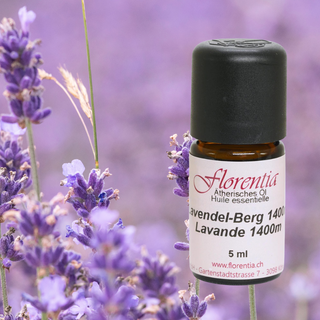 Lavendel-Berg 1400m Bio 5 ml - Wohlfühlprodukte