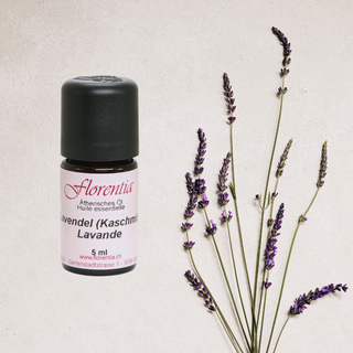 Lavendel (Kaschmir) wild 5 ml - Wohlfühlprodukte