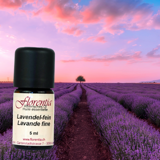 Lavendel-fein Bio 5 ml (Florentia) - Wohlfühlprodukte