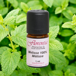 Melisse 100% Bio 1 ml - Wohlfühlprodukte