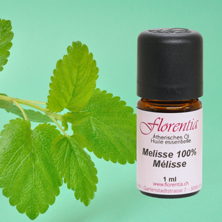 Melisse 100% Bio 1 ml - Wohlfühlprodukte