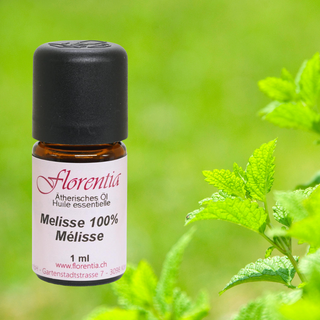 Melisse 100% Bio 1 ml - Wohlfühlprodukte