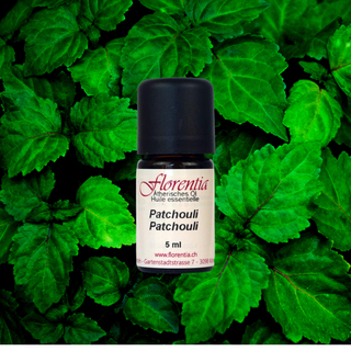 Patchouli 5 ml - Wohlfühlprodukte