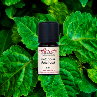 Patchouli 5 ml - Wohlfühlprodukte