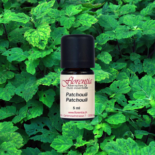 Patchouli 5 ml - Wohlfühlprodukte