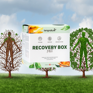 Recovery Box - Wohlfühlprodukte