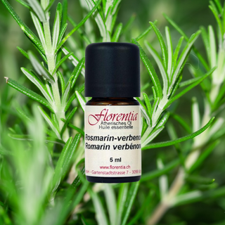 Rosmarin-verbenon Bio 5 ml - Wohlfühlprodukte