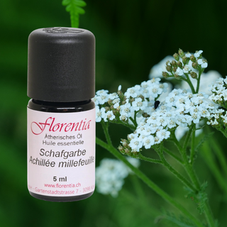 Schafgarbe Bio 5ml - Wohlfühlprodukte