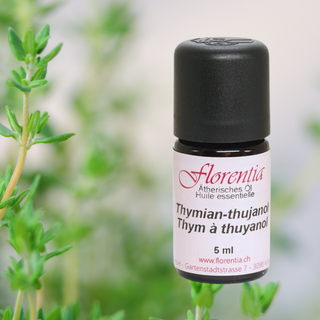 Thymian-thujanol Bio 5 ml - Wohlfühlprodukte