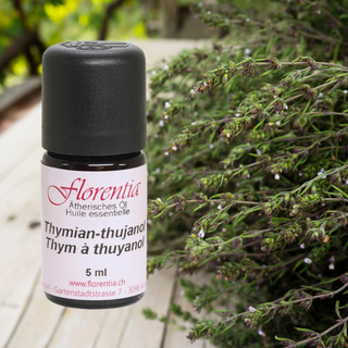 Thymian-thujanol Bio 5 ml - Wohlfühlprodukte