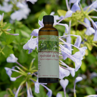 Thymianhydrolat (linalool) Bio - Wohlfühlprodukte